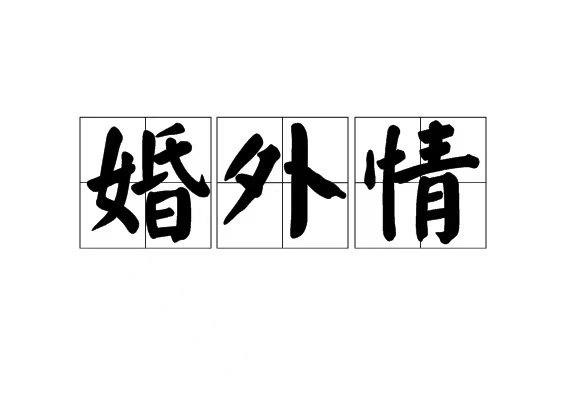 武汉探情商务调查有限公司